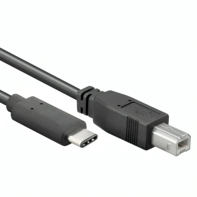 Afbeelding van USB C naar B kabel Delock