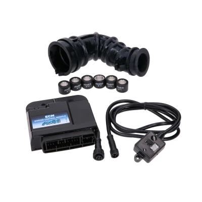 Afbeelding van Polini ECM ECU voor Piaggio &amp; Vespa 50cc 4 Takt 3V Euro4 iGet
