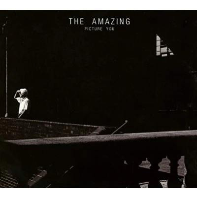 Afbeelding van The Amazing Picture You (CD)