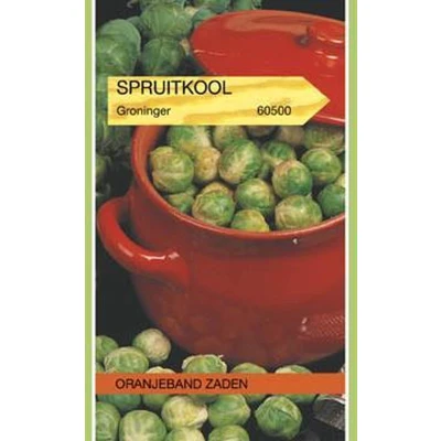Afbeelding van Spruitkool Groninger
