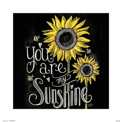 Afbeelding van Kunstdruk Lily And Val You Are My Sunshine 30x30cm