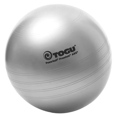 Afbeelding van TOGU Powerball Premium ABS 65 cm zilver zitbal