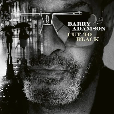 Afbeelding van Barry Adamson Cut To Black (CD)