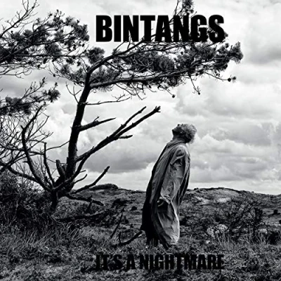 Afbeelding van Bintangs It&#039;s a Nightmare (LP)