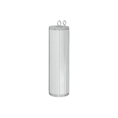 Afbeelding van Eurolite Spiegel Cylinder 60cm Discobal