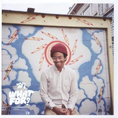 Afbeelding van Toro Y Moi What For? (CD)