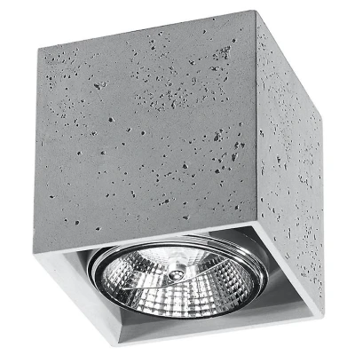 Afbeelding van Sollux Lighting Plafondspot VALDE beton