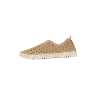 Afbeelding van Ilse Jacobsen Sneakers laag, Dames, Maat: 36, Latte pearled ivory Kunststof/ nylon