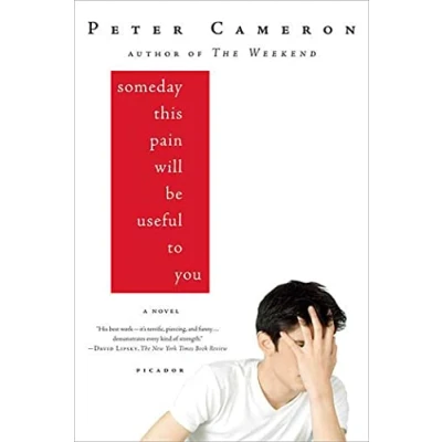 Afbeelding van Someday This Pain Will Be Useful to You