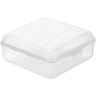 Afbeelding van Rotho lunchbox FUN 2,35 l (20 x 20 8 cm) transparant 2350 ml