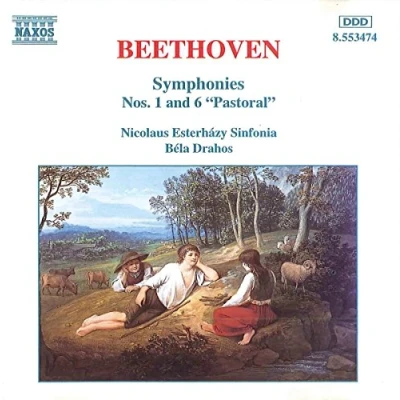 Afbeelding van Nicolaus Esterhazy Sinfonia Symphonies Nos. 1 &amp; 6 (CD)