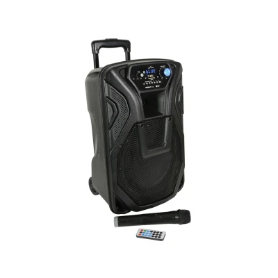 Afbeelding van QTX Sound Busker 10 Bluetooth speaker USB/SD/FM en microfoon