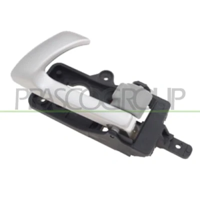 Afbeelding van Handgreep, interieur PRASCO HN8168658