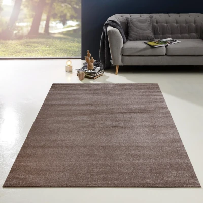 Afbeelding van Enjoy Effen Velvet Vloerkleed Bruin Laagpolig 80x150 cm