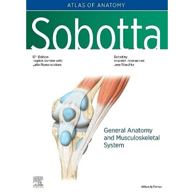 Afbeelding van Sobotta Atlas of Anatomy, Vol.1, 17th ed., English/Latin: General Anatomy and Musculoskeletal System