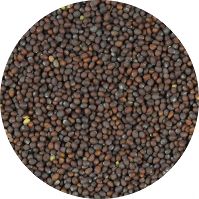 Afbeelding van Van Beekum Specerijen Mosterdzaad Bruin Heel 20 KG Zak (bulk verpakking)