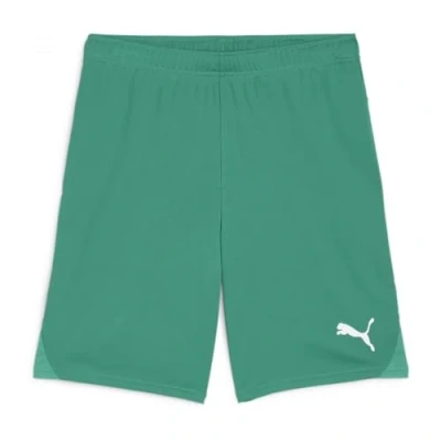 Afbeelding van PUMA teamGOAL Korte broek