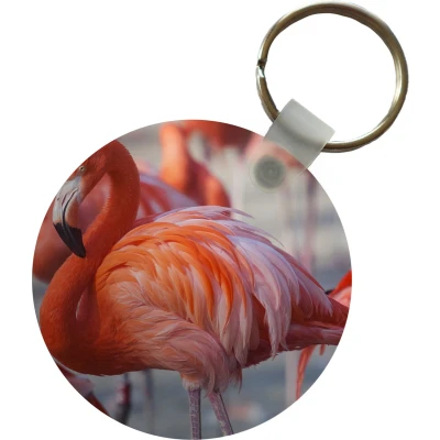 Afbeelding van Sleutelhanger Flamingo Vogel Dieren Roze Plastic Rond Uitdeelcadeautjes