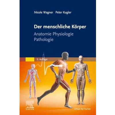 Afbeelding van Der menschliche Körper
