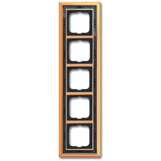Afbeelding van Abb busch jaeger afdekraam 5 voudig dynasty messing decor antra 2cka001754a4652