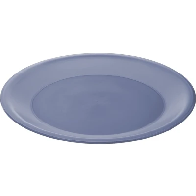 Afbeelding van Rotho Caruba platte Kunststof plaat herbruikbaar, (PP) BPA vrij, blauw, (26.0 x 26.0 1.5 cm)