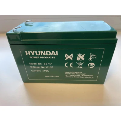Afbeelding van Reserve Accu Drukspuit Hyundai LP12 7,8