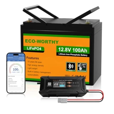 Afbeelding van ECO WORTHY LiFePO4 Bluetooth 12 V 100 Ah met 12/24 20 A oplader, lithiumbatterij BMS lage temperatuurbescherming voor camper, boot, caravan