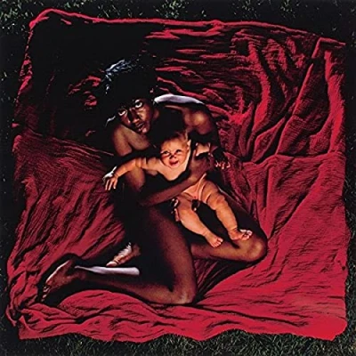 Afbeelding van Afghan Whigs Congregation (2 LPs)