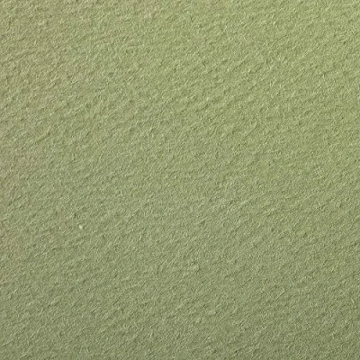 Afbeelding van Clairefontaine 93784C Verpakking (met 24 vellen tekenpapier, etivalkleur, 50 x 65 cm, 160 g, korrels, ideaal voor droogtechniek en inlijst), olijfgroen