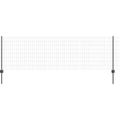 Afbeelding van vidaXL Grijs Tuinhek Set van 2 Metaal 25 x 0.8 m Duurzaam