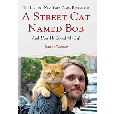 Afbeelding van A Street Cat Named Bob