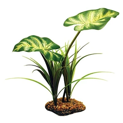 Afbeelding van Komodo Broadleaf Canopy 26 CM