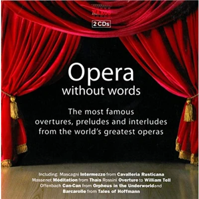 Afbeelding van Various Artists Opera Without Words (2 CD)