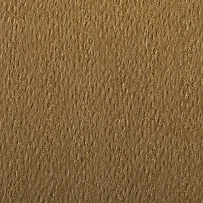 Afbeelding van Clairefontaine Ref 90877C Etival Gekleurd Graineerd Tekening Papier (Verpakking van 5 Vellen) A4 (29,7 x 21cm) 160gsm Cellulose Art Tabak Zuurvrij, pH Neutraal