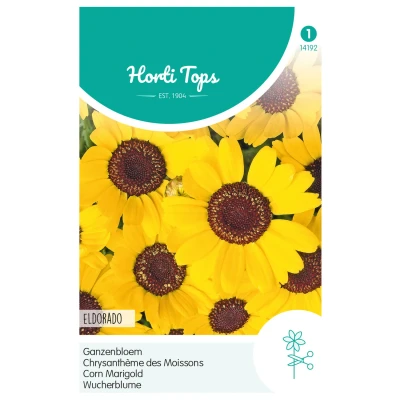 Afbeelding van Chrysanthemum, Ganzebloem Eldorado Geel