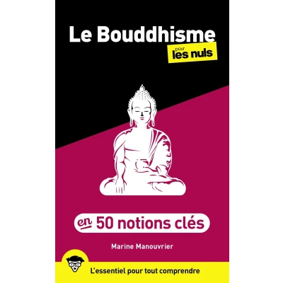Afbeelding van Le Bouddhisme en 50 notions clés pour les Nuls, 2e éd