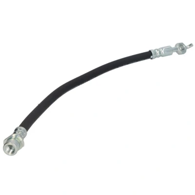 Afbeelding van Delphi Diesel Remslang LH6763
