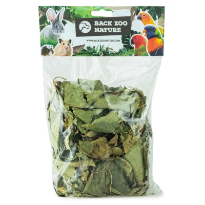 Afbeelding van Back Zoo Nature Discovery Leaves Orchard Natuurlijk Speelgoed ca. 65 g