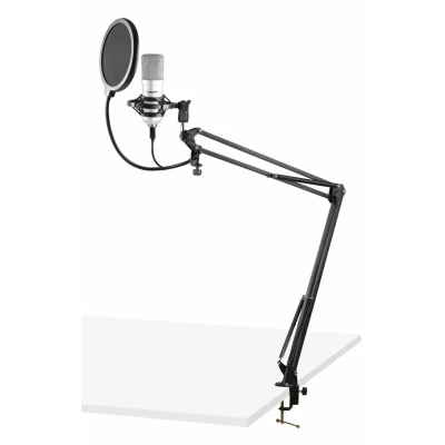Afbeelding van Vonyx CMS300S USB Studio microfoon met verstelbare arm Titanium