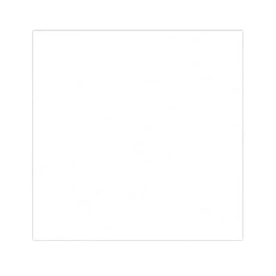 Afbeelding van Vetvrij wikkelpapier of hamburgervellen wit 31x31 cm Inhoud: 1000 stuks