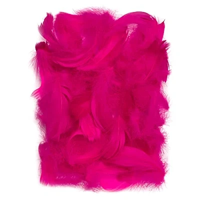 Afbeelding van Netuno 150 donkerroze decoratieve vogel veren 10g pluizige voor DIY Crafting pasen kerst figuur maskers bruiloftsfeesten