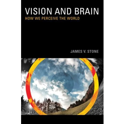 Afbeelding van Vision and Brain: How We Perceive the World