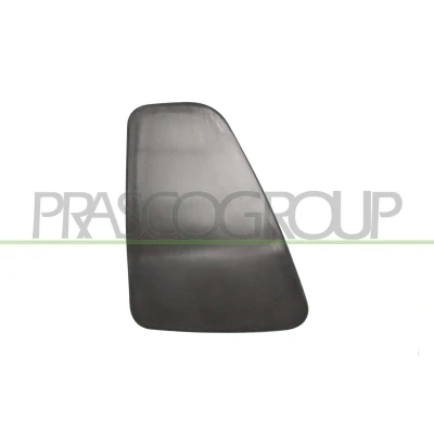 Afbeelding van PRASCO FT0322164 Decoratief paneel, achterlicht FIAT: 500 Hatchback (312) 1.3 D Multijet 2016