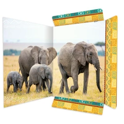 Afbeelding van RNK 45377 tekenmap olifant 310 x 440 mm, documentenmap voor DIN A3, met elastische sluiting, 1 stuk