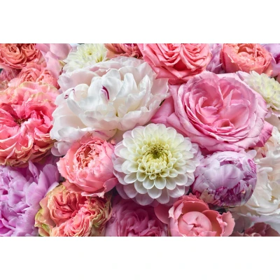 Afbeelding van Komar Fotobehang Vibrant Spring 368x254 cm (breedte x hoogte), inclusief pasta (1 stuk)