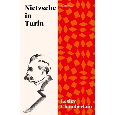 Afbeelding van Nietzsche in Turin: the End of Future