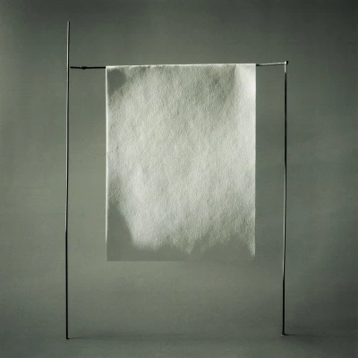 Afbeelding van Sylvain Chauveau Simple (LP)