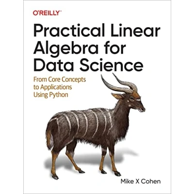 Afbeelding van Practical Linear Algebra for Data Science: From Core Concepts to Applications Using Python