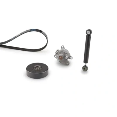 Afbeelding van Gates Poly V riemen kit K026PK2213