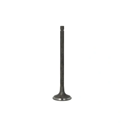 Afbeelding van Uitlaatklep FRECCIA R6604/RNT